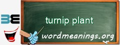 WordMeaning blackboard for turnip plant